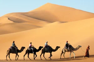 Camel-caravan-Sahara-Morocco